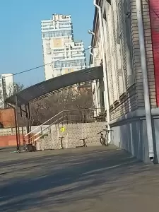 Фотография Арт домино 5